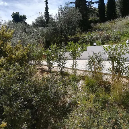 Stone House In Olive Grove 托隆