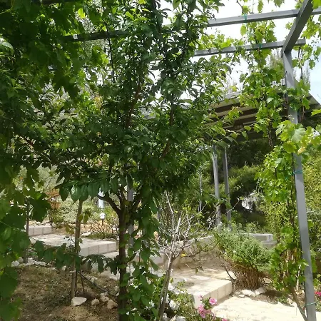 Stone House In Olive Grove Hébergement de vacances *