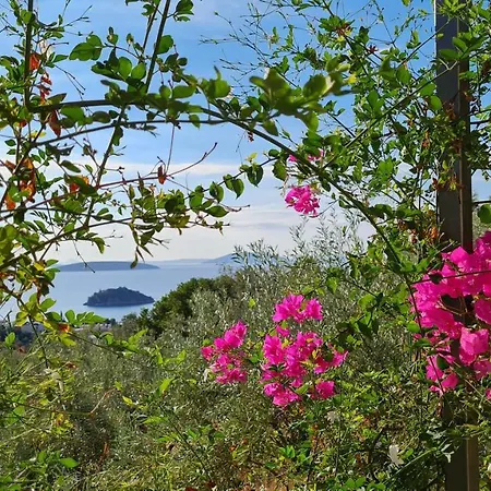 Stone House In Olive Grove Holiday home Tolo