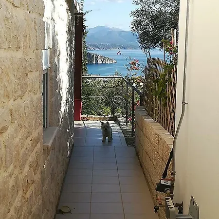 度假居 Stone House In Olive Grove *