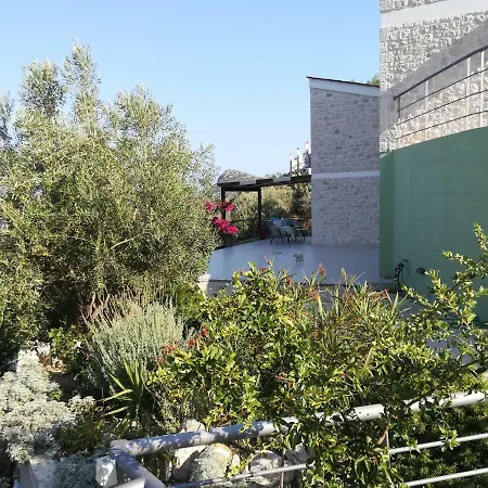 Hébergement de vacances Stone House In Olive Grove *