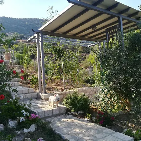 Hébergement de vacances Stone House In Olive Grove *