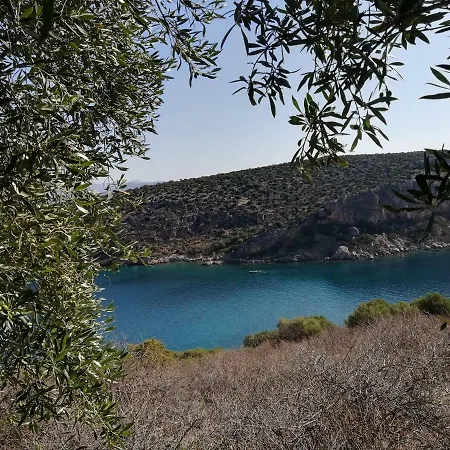 Stone House In Olive Grove