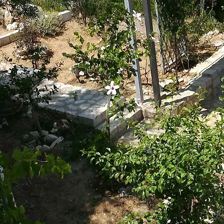 Stone House In Olive Grove Tolón