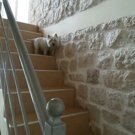 Stone House In Olive Grove *