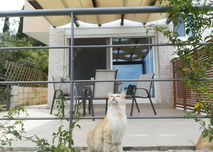 Stone House In Olive Grove Holiday home Tolo