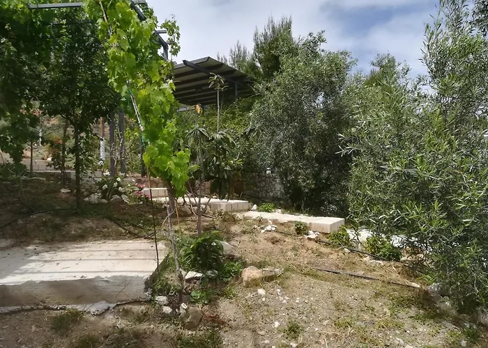 Holiday home Stone House In Olive Grove Tolo