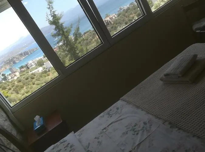 Stone House In Olive Grove Tolo