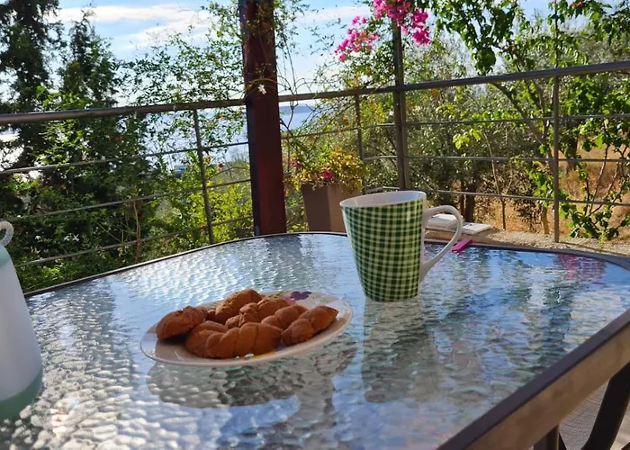 Stone House In Olive Grove Holiday home