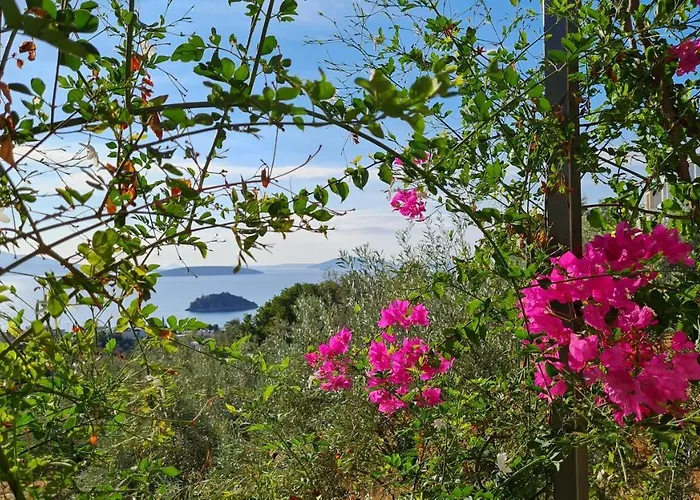 Stone House In Olive Grove Holiday home Tolo
