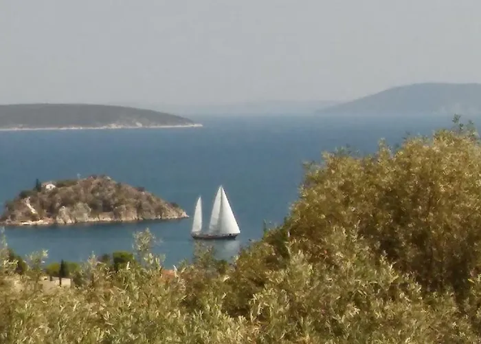 Stone House In Olive Grove *