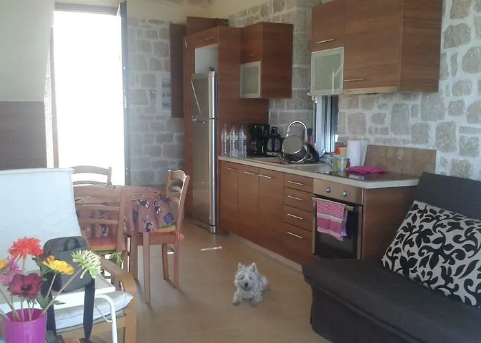 Stone House In Olive Grove Holiday home *