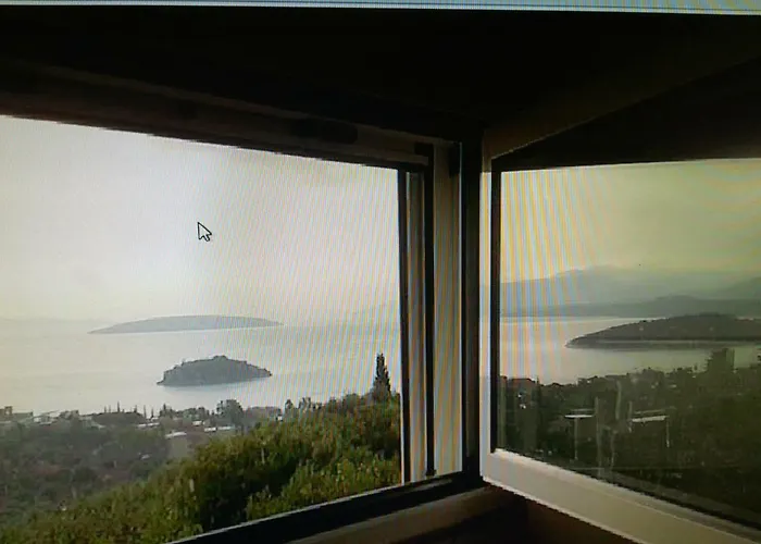 Stone House In Olive Grove