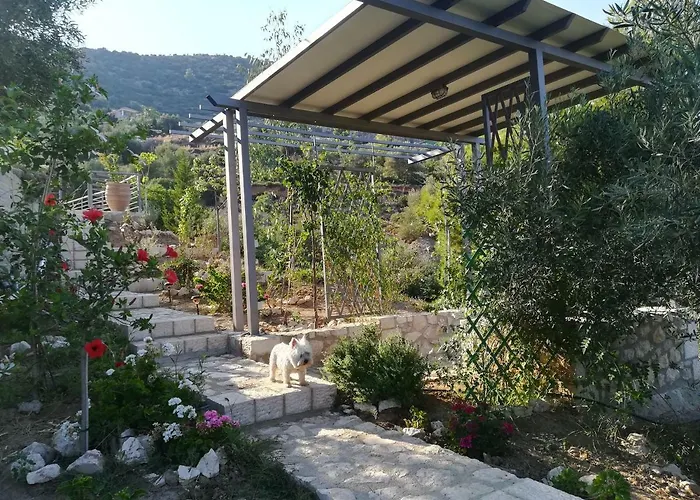 Holiday home Stone House In Olive Grove *