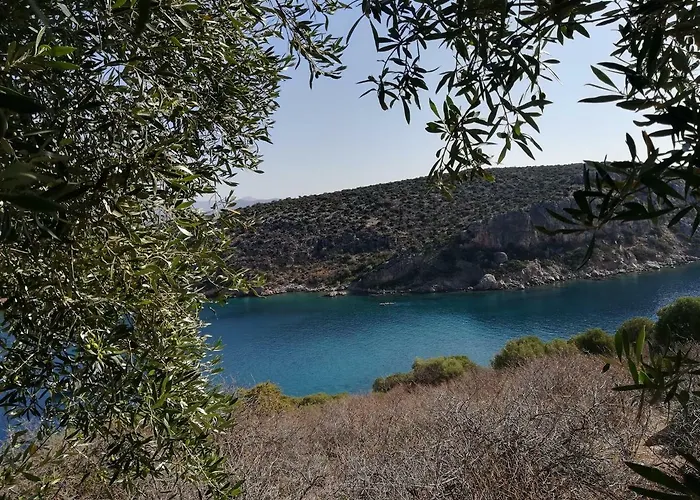 Stone House In Olive Grove