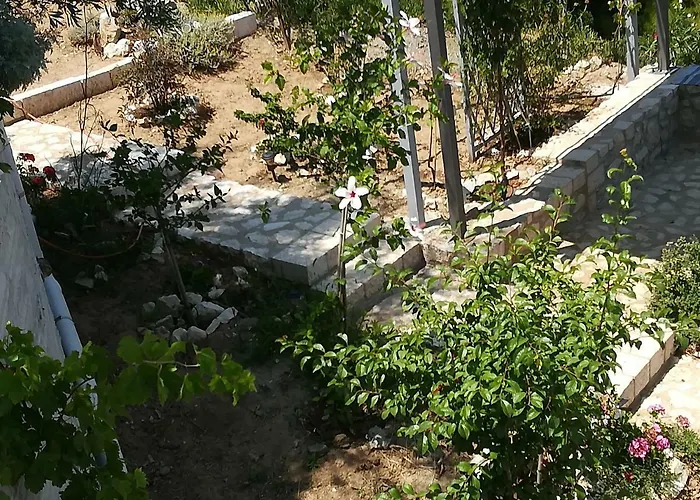 Stone House In Olive Grove Tolo