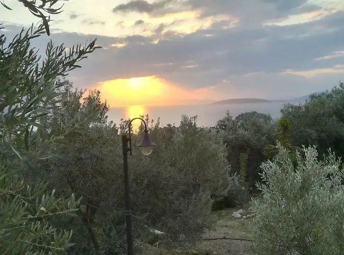 Stone House In Olive Grove * Tolo