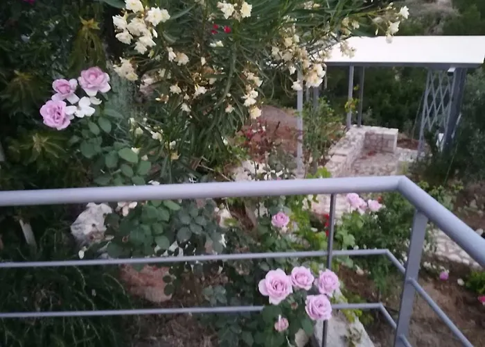 Stone House In Olive Grove *