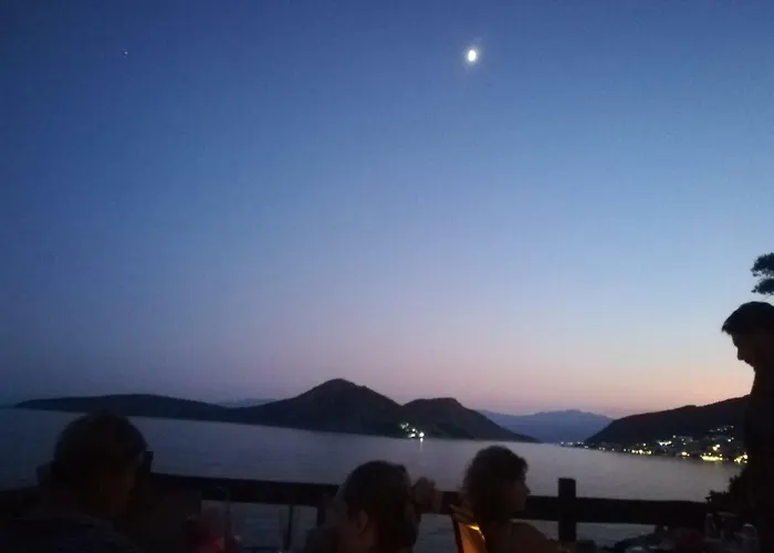 Stone House In Olive Grove *