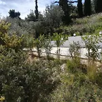Stone House In Olive Grove Toló