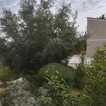Stone House In Olive Grove Nyaraló