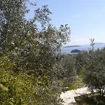 Feriehus Stone House In Olive Grove