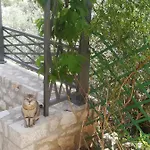 Stone House In Olive Grove