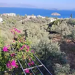 Stone House In Olive Grove * Toló