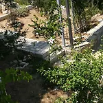 Stone House In Olive Grove Tolón