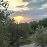 Stone House In Olive Grove * Tolón