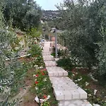 Stone House In Olive Grove Tolón