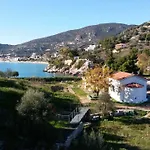 Stone House In Olive Grove