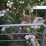 Stone House In Olive Grove *