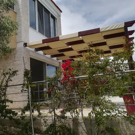 Stone House In Olive Grove