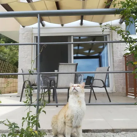 Stone House In Olive Grove 別荘 トロン