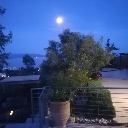 בית נופש Stone House In Olive Grove טולון