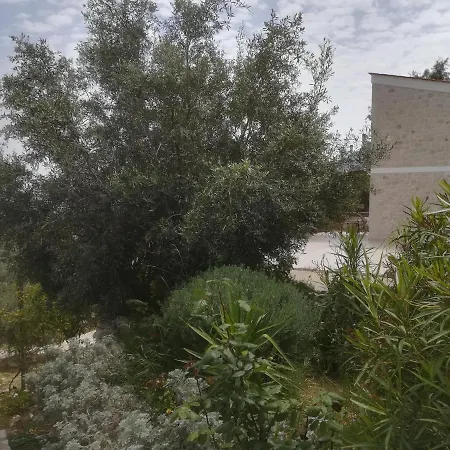 Stone House In Olive Grove Feriehus