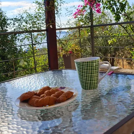 Stone House In Olive Grove Дом отдыха