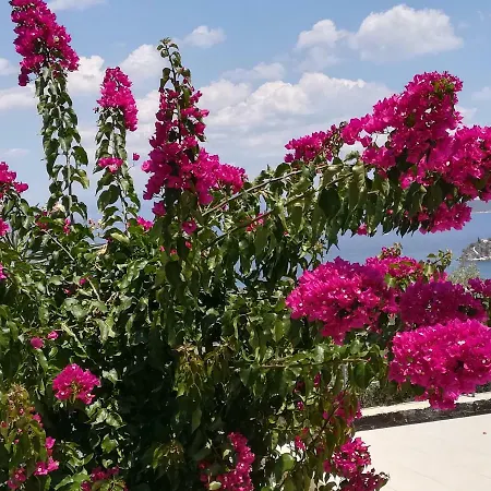Stone House In Olive Grove Толон
