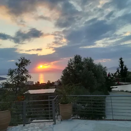 Stone House In Olive Grove Толон