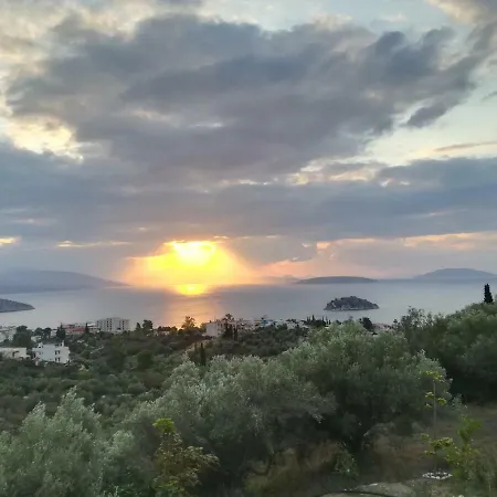 Stone House In Olive Grove