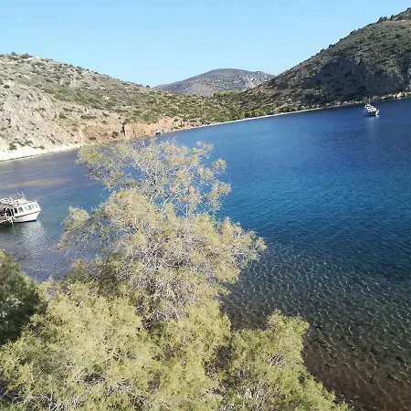 Stone House In Olive Grove Дом отдыха Толон