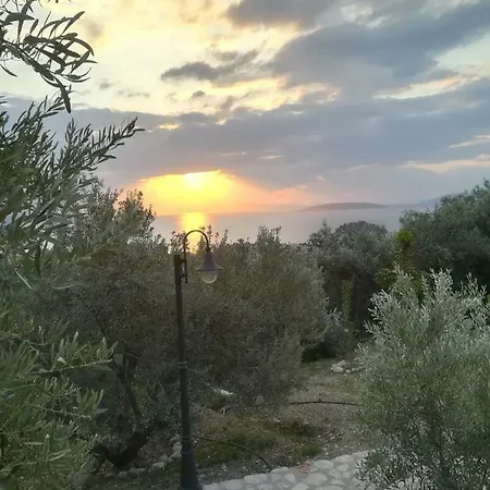 Stone House In Olive Grove * Толон