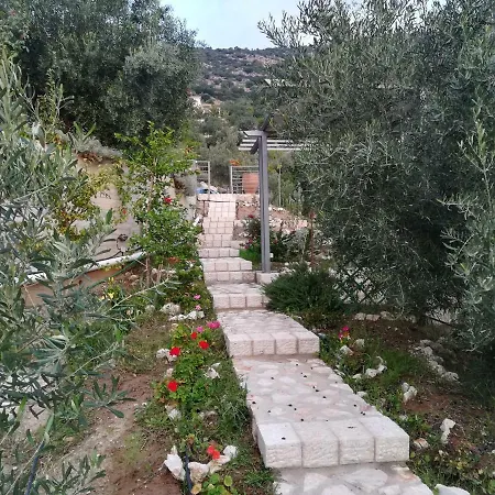 Stone House In Olive Grove Tolón