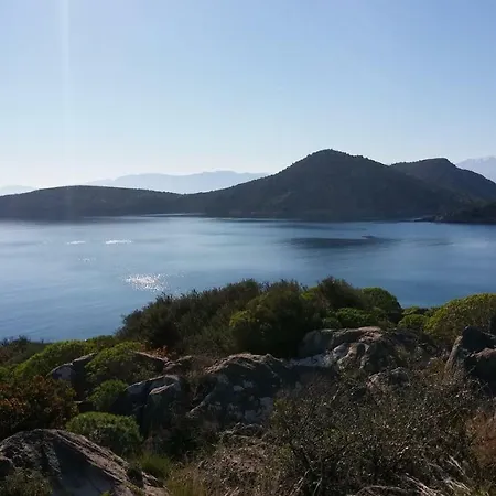 Stone House In Olive Grove * Толон