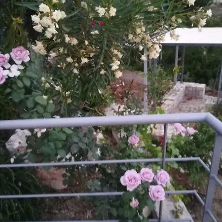 Stone House In Olive Grove *