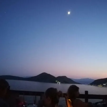 Stone House In Olive Grove *