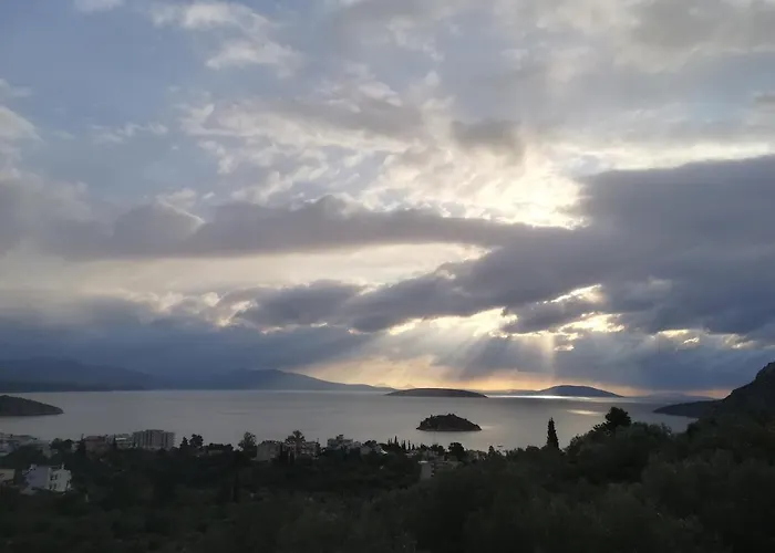 Stone House In Olive Grove Casa de Férias
