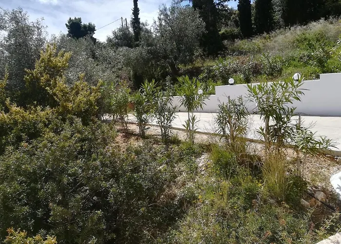 Stone House In Olive Grove Tolón