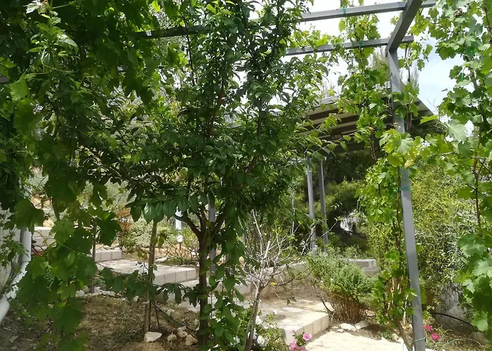 Stone House In Olive Grove Casa de Férias *